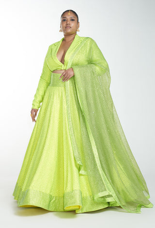 Itrh-Neon Green Crystal Crop Top With Lehenga With Dupatta-INDIASPOPUP.COM