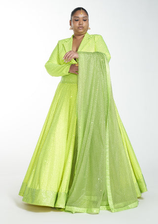 Itrh-Neon Green Crystal Crop Top With Lehenga With Dupatta-INDIASPOPUP.COM