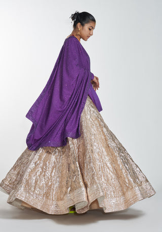 Itrh-Gold Lehenga With Purple Blouse And Dupatta-INDIASPOPUP.COM