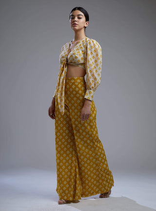 Koai-Cream & Yellow Top With Pants-INDIASPOPUP.COM