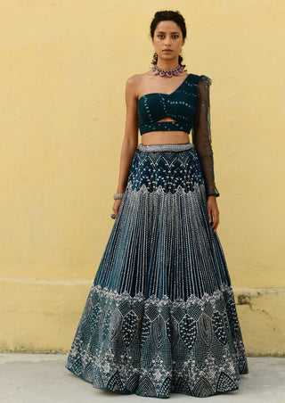 Chamee And Palak-Kylie Blue Embroidered Lehenga And Blouse-INDIASPOPUP.COM