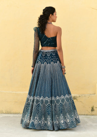 Chamee And Palak-Kylie Blue Embroidered Lehenga And Blouse-INDIASPOPUP.COM