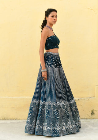 Chamee And Palak-Kylie Blue Embroidered Lehenga And Blouse-INDIASPOPUP.COM