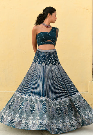 Chamee And Palak-Kylie Blue Embroidered Lehenga And Blouse-INDIASPOPUP.COM