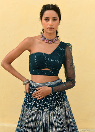 Chamee And Palak-Kylie Blue Embroidered Lehenga And Blouse-INDIASPOPUP.COM