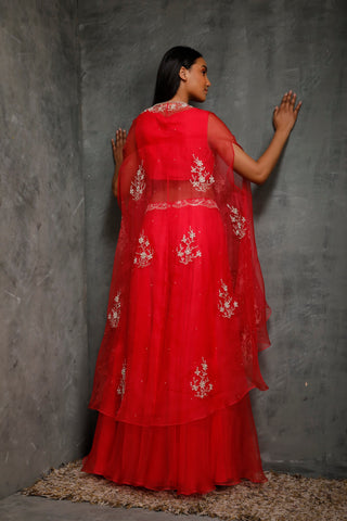 Seema Thukral-Rani Pink Croptop & Cape With Sharara-INDIASPOPUP.COM