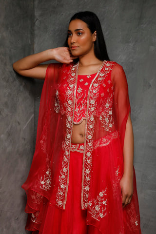 Seema Thukral-Rani Pink Croptop & Cape With Sharara-INDIASPOPUP.COM