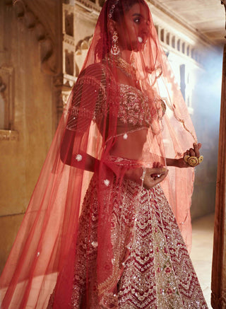 Bindani By Jigar And Nikita-Plum Bridal Lehenga Set-INDIASPOPUP.COM