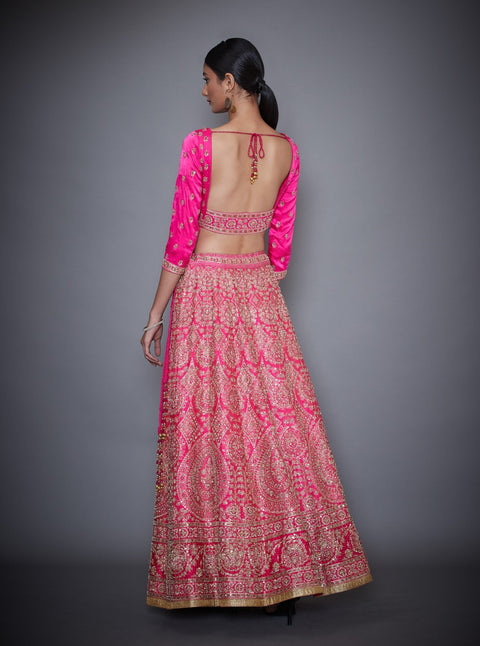 Ri.Ritu Kumar-Pink Lehenga With Blouse & Dupatta-INDIASPOPUP.COM