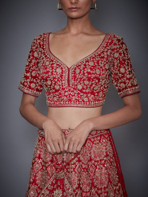 Ri.Ritu Kumar-Red & Gold Lehenga Set With Duppata-INDIASPOPUP.COM