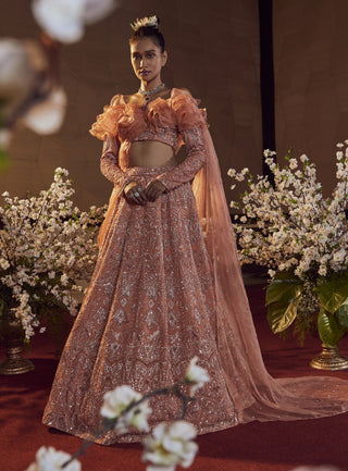 Bindani By Jigar And Nikita-Peach Embroidered Lehenga Set-INDIASPOPUP.COM