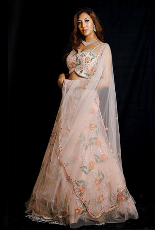 Archana Kochhar-Pink Embroidery Lehenga Set-INDIASPOPUP.COM