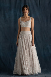 Lavanya Ahuja-Soft Grey Embroidered Lehenga Set-INDIASPOPUP.COM