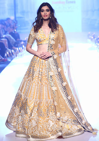 Archana Kochhar-Mustard Embroidered Lehenga Set-INDIASPOPUP.COM