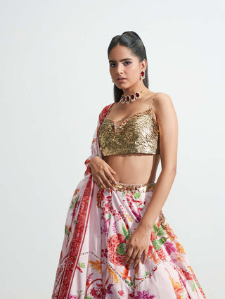 Mahima Mahajan-Blush Embroidered Lehenga Set-INDIASPOPUP.COM