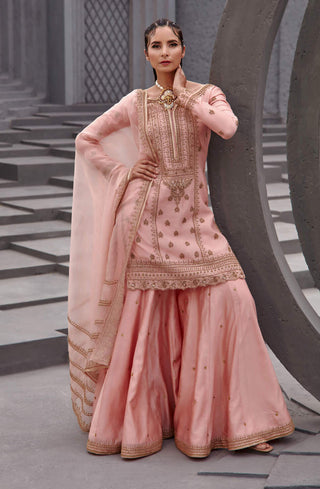 Jigar Mali-Mauve Flared Sharara Set-INDIASPOPUP.COM