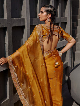 Jigar Mali-Tuscan Mustard Saree With Blouse-INDIASPOPUP.COM