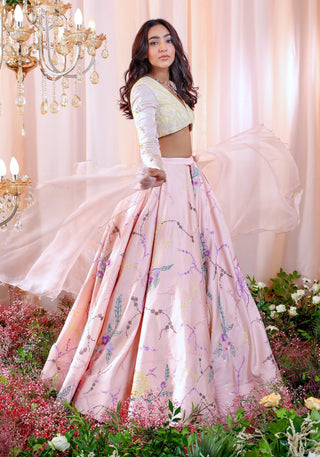 Mahima Mahajan-Charlotte Rose Embroidered Lehenga Set-INDIASPOPUP.COM