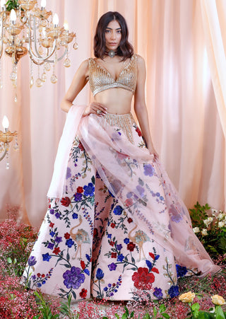 Mahima Mahajan-Sophie Rose Embroidered Lehenga Set-INDIASPOPUP.COM