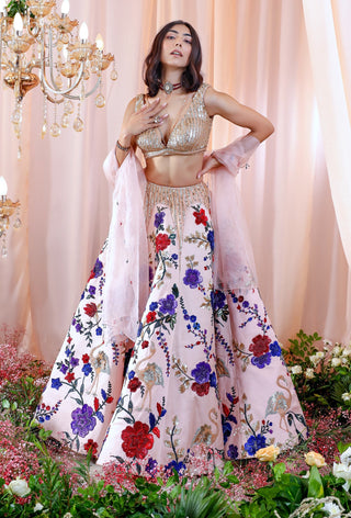Mahima Mahajan-Sophie Rose Embroidered Lehenga Set-INDIASPOPUP.COM