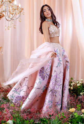 Mahima Mahajan-Juliette Rose Embroidered Lehenga Set-INDIASPOPUP.COM
