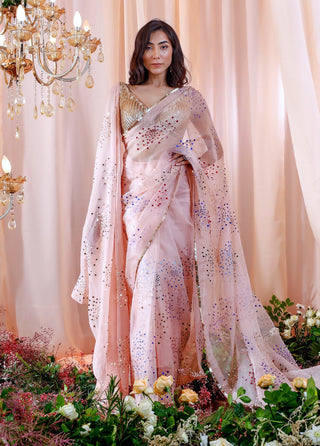 Mahima Mahajan-Elle Rose Embroidered Sari And Drape Set-INDIASPOPUP.COM