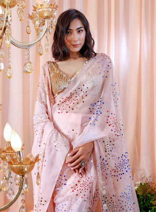 Mahima Mahajan-Elle Rose Embroidered Sari And Drape Set-INDIASPOPUP.COM