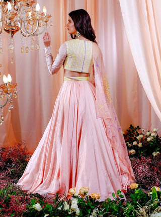 Mahima Mahajan-Anna Rose Embroidered Lehenga Set-INDIASPOPUP.COM