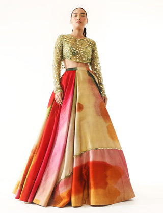 Mahima Mahajan-Multicolor Printed Lehenga And Blouse-INDIASPOPUP.COM