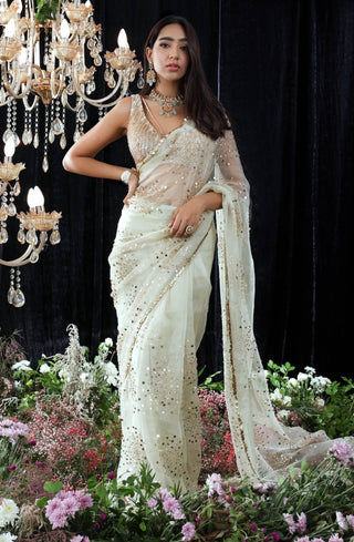 Mahima Mahajan-Marylyn Jade Gold Embroidered Sari With Blouse-INDIASPOPUP.COM