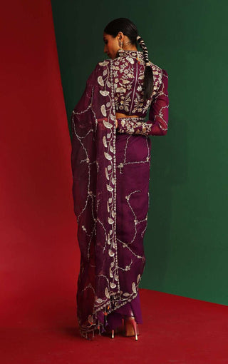 Mahima Mahajan-Viara Grapevine Pre-Stitched Sari With Blouse-INDIASPOPUP.COM