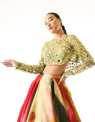 Mahima Mahajan-Multicolor Printed Lehenga And Blouse-INDIASPOPUP.COM