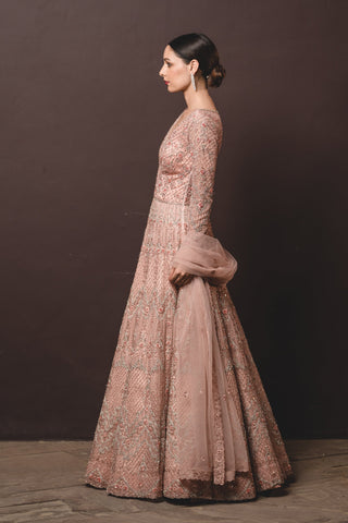 Nitika Gujral-Peach Tulle Gown And Dupatta-INDIASPOPUP.COM