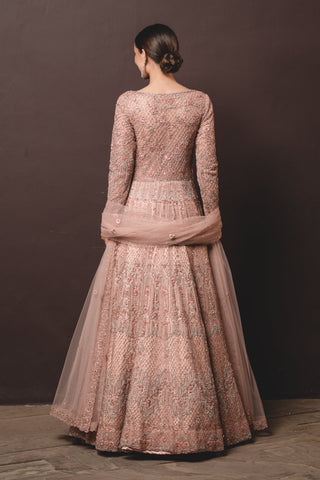 Nitika Gujral-Peach Tulle Gown And Dupatta-INDIASPOPUP.COM