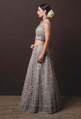 Nitika Gujral-Silver Tulle Lehenga Choli Set-INDIASPOPUP.COM