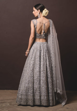 Nitika Gujral-Silver Tulle Lehenga Choli Set-INDIASPOPUP.COM