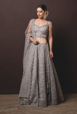 Nitika Gujral-Silver Tulle Lehenga Choli Set-INDIASPOPUP.COM