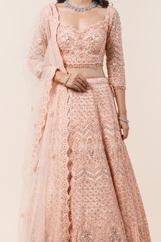 Nitika Gujral-Soft Peach Lehenga Choli Set-INDIASPOPUP.COM