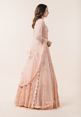 Nitika Gujral-Soft Peach Lehenga Choli Set-INDIASPOPUP.COM