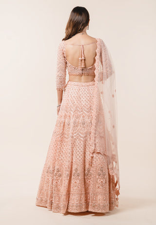 Nitika Gujral-Soft Peach Lehenga Choli Set-INDIASPOPUP.COM