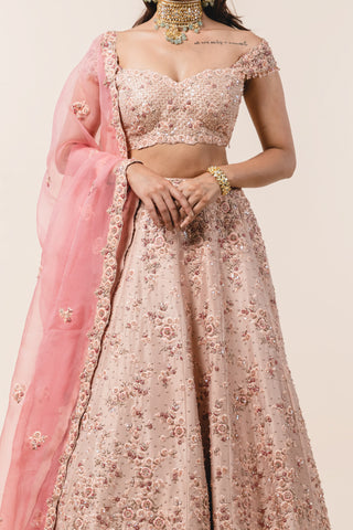 Nitika Gujral-Nude Lehenga Choli Set-INDIASPOPUP.COM