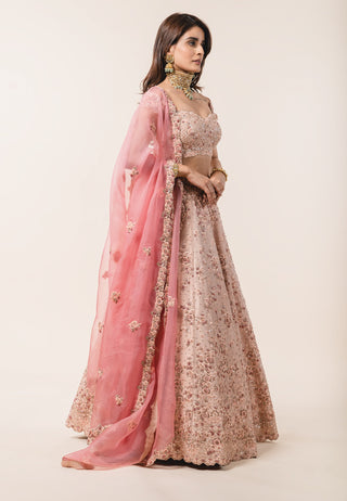 Nitika Gujral-Nude Lehenga Choli Set-INDIASPOPUP.COM