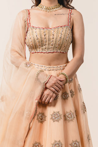 Nitika Gujral-Peach Organza Lehenga Choli Set-INDIASPOPUP.COM