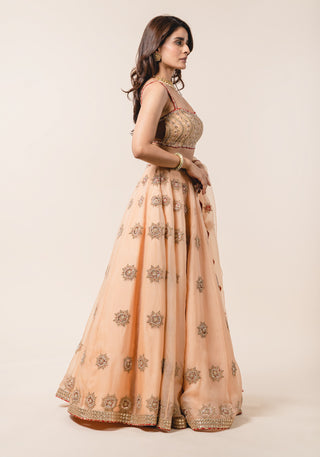 Nitika Gujral-Peach Organza Lehenga Choli Set-INDIASPOPUP.COM