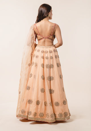 Nitika Gujral-Peach Organza Lehenga Choli Set-INDIASPOPUP.COM