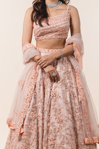 Nitika Gujral-Peach Tulle Lehenga Choli Set-INDIASPOPUP.COM