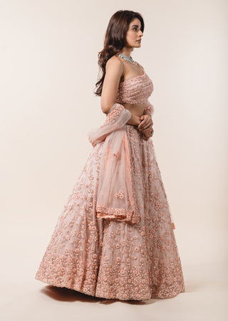 Nitika Gujral-Peach Tulle Lehenga Choli Set-INDIASPOPUP.COM