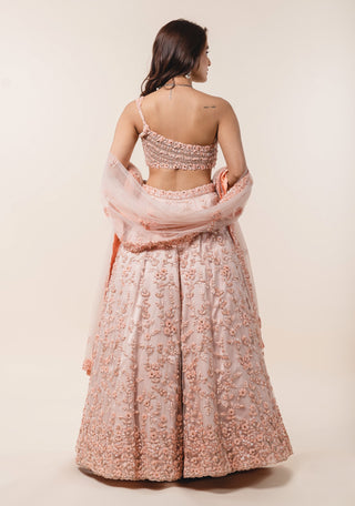 Nitika Gujral-Peach Tulle Lehenga Choli Set-INDIASPOPUP.COM