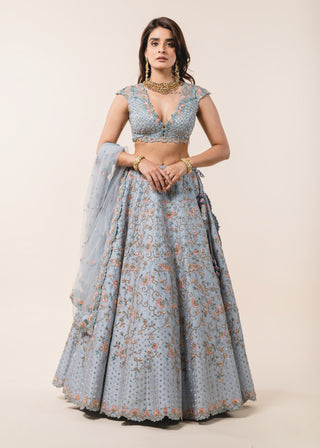 Nitika Gujral-Powder Blue Dupion Lehenga Choli Set-INDIASPOPUP.COM