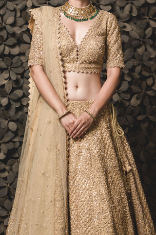 Nitika Gujral-Gold Tulle Lehenga Choli Set-INDIASPOPUP.COM